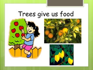 Trees give us food
 
