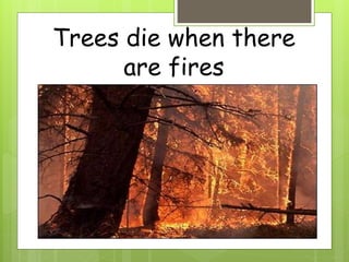 Trees die when there
are fires
 