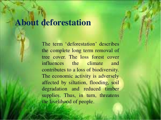 deforestation in india research paper