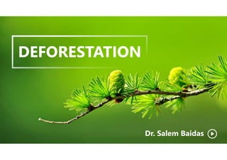 DEFORESTATION
Dr. Salem Baidas
 