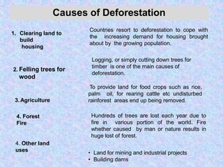 Deforestation ppt by prof. shashank chaurasiya