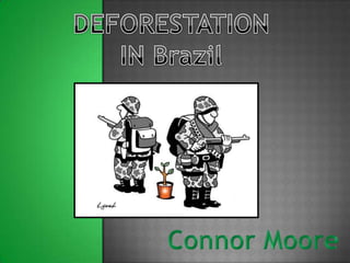 DEFORESTATION IN Brazil Connor Moore 