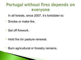 Deforestation situation in portugal Slide 10