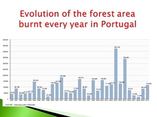 Portugal from space during Summer 2003.
The effects of fires. Meris-Fr.
 