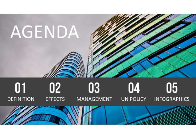 Deforestation Solution PPT