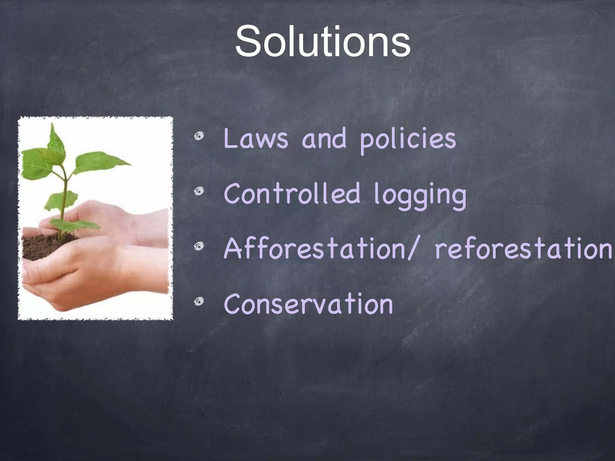 Deforestation Solution And limitation PPT