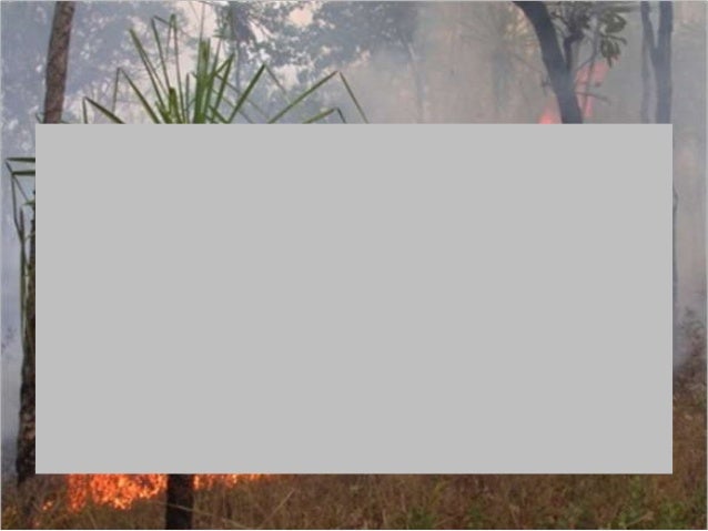 deforestation-template