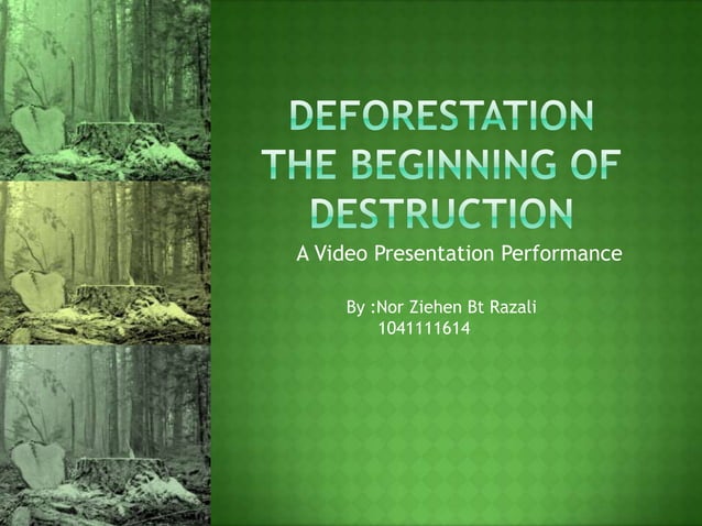 Deforestation the beginning of destruction | PPT