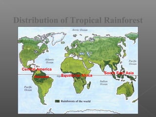 Distribution of Tropical Rainforest
Amazon Equatorial Africa
Central America
South East Asia
 