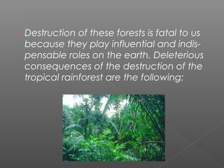  Destruction of these forests is fatal to us
because they play influential and indis-
pensable roles on the earth. Deleterious
consequences of the destruction of the
tropical rainforest are the following:
 
