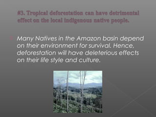  Many Natives in the Amazon basin depend
on their environment for survival. Hence,
deforestation will have deleterious effects
on their life style and culture.
 