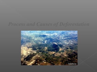 Process and Causes of Deforestation
 