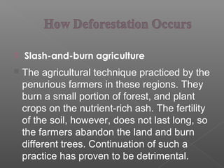  Slash-and-burn agriculture
 The agricultural technique practiced by the
penurious farmers in these regions. They
burn a small portion of forest, and plant
crops on the nutrient-rich ash. The fertility
of the soil, however, does not last long, so
the farmers abandon the land and burn
different trees. Continuation of such a
practice has proven to be detrimental.
 