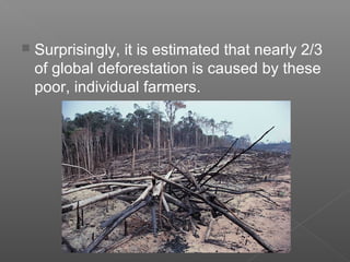  Surprisingly, it is estimated that nearly 2/3
of global deforestation is caused by these
poor, individual farmers.
 