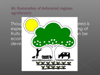  Though restoring the deforested area is
expensive and difficult, the planting of
fruits and selected hardwoods can be
economically beneficial for the
developing countries.
 