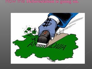  Deforestation
 