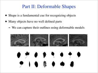 Part II: Deformable Shapes
•   Shape is a fundamental cue for recognizing objects

•   Many objects have no well deﬁned parts
    - We can capture their outlines using deformable models
 