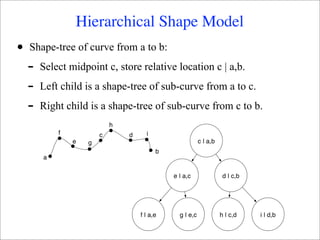 Hierarchical Shape Model
•   Shape-tree of curve from a to b:
    -   Select midpoint c, store relative location c | a,b.
    -   Left child is a shape-tree of sub-curve from a to c.
    -   Right child is a shape-tree of sub-curve from c to b.
                            h
            f           c       d     i
                e   g                                     c | a,b
                                          b
        a

                                              e | a,c                d | c,b




                                    f | a,e     g | e,c             h | c,d    i | d,b
 