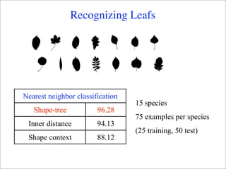Recognizing Leafs




Nearest neighbor classification
                                  15 species
   Shape-tree           96.28
                                  75 examples per species
 Inner distance         94.13
                                  (25 training, 50 test)
 Shape context          88.12
 