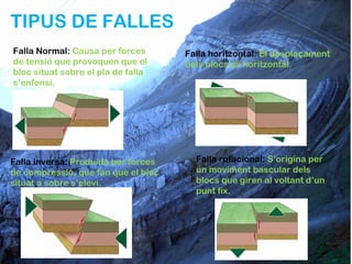 TIPUS DE FALLES
Falla Normal: Causa per forces       Falla horitzontal: El desplaçament
de tensió que provoquen que el       dels blocs és horitzontal.
bloc situat sobre el pla de falla
s’enfonsi.




Falla inversa: Produïda per forces     Falla rotacional: S’origina per
de compressió, que fan que el bloc     un moviment bascular dels
situat a sobre s’elevi.                blocs que giren al voltant d’un
                                       punt fix.
 