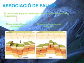 ASSOCIACIÓ DE FALLES
És poc freqüent que es produeixen falles aïllades, ja que el més
freqüent són:


  Depresions o fosses           Elevacions o massissos
     tectòniques                       tectònics
 