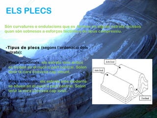 ELS PLECS
Són curvatures o ondulacions que es formen en alguns estrats rocosos
quan són sotmesos a esforços tectònics de tipus compressiu.



-Tipus de plecs (segons l’ordenació dels
estrats):

 Plecs anticlinals: els estrats més antics
 es troben en el nucli o part central. Solen
 tenir la cara convexa cap amunt.

 Plecs sinclinals: els estrats més moderns
 se situen en el nucli o part central. Solen
 tenir la cara convexa cap avall.
 