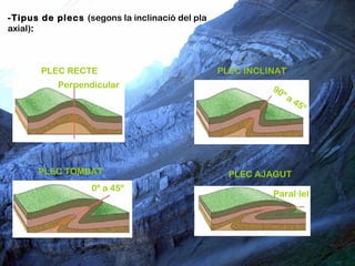 -Tipus de plecs (segons la inclinació del pla
axial):



       PLEC RECTE                               PLEC INCLINAT
           Perpendicular                                  90
                                                            ºa
                                                                 45
                                                                    º




      PLEC TOMBAT                                 PLEC AJAGUT
                  0º a 45º
                                                          Paral·lel
 