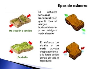 El esfuerzo 
tensional 
horizontal hace 
que la roca se 
alargue 
horizontalmente 
y se adelgace 
verticalmente. 
Tipos de esfuerzo 
El esfuerzo de 
cizalla o de 
corte provoca 
desplazamiento 
a lo largo de las 
zonas de falla o 
flujo dúctil 
 