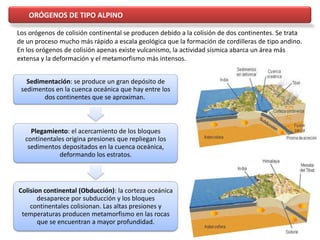 ORÓGENOS DE TIPO ALPINO
Sedimentación: se produce un gran depósito de
sedimentos en la cuenca oceánica que hay entre los
dos continentes que se aproximan.
Plegamiento: el acercamiento de los bloques
continentales origina presiones que repliegan los
sedimentos depositados en la cuenca oceánica,
deformando los estratos.
Colision continental (Obducción): la corteza oceánica
desaparece por subducción y los bloques
continentales colisionan. Las altas presiones y
temperaturas producen metamorfismo en las rocas
que se encuentran a mayor profundidad.
Los orógenos de colisión continental se producen debido a la colisión de dos continentes. Se trata
de un proceso mucho más rápido a escala geológica que la formación de cordilleras de tipo andino.
En los orógenos de colisión apenas existe vulcanismo, la actividad sísmica abarca un área más
extensa y la deformación y el metamorfismo más intensos.
 