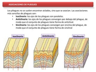 Los pliegues no se suelen encontrar aislados, sino que se asocian. Las asociaciones
más sencillas de pliegues son:
• Isoclinorio: los ejes de los pliegues son paralelos.
• Anticlinorio: los ejes de los pliegues convergen por debajo del pliegue, de
modo que el conjunto de pliegues tiene forma de anticlinal.
• Sinclinorio: los ejes de los pliegues convergen por encima del pliegue, de
modo que el conjunto de pliegues tiene forma de sinclinal
Isoclinorio Anticlinorio Sinclinorio
ASOCIACIONES DE PLIEGUES
 
