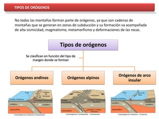 TIPOS DE ORÓGENOS
Tipos de orógenos
Orógenos andinos Orógenos alpinos
Orógenos de arco
insular
Se clasifican en función del tipo de
margen donde se forman
No todas las montañas forman parte de orógenos, ya que son cadenas de
montañas que se generan en zonas de subducción y su formación va acompañada
de alta sismicidad, magmatismo, metamorfismo y deformaciones de las rocas.
 