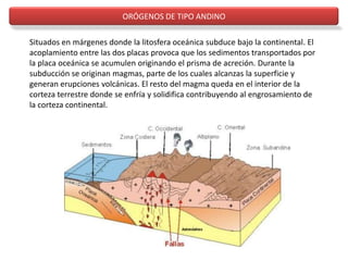 ORÓGENOS DE TIPO ANDINO
Situados en márgenes donde la litosfera oceánica subduce bajo la continental. El
acoplamiento entre las dos placas provoca que los sedimentos transportados por
la placa oceánica se acumulen originando el prisma de acreción. Durante la
subducción se originan magmas, parte de los cuales alcanzas la superficie y
generan erupciones volcánicas. El resto del magma queda en el interior de la
corteza terrestre donde se enfría y solidifica contribuyendo al engrosamiento de
la corteza continental.
 