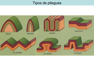 Tipos de pliegues 