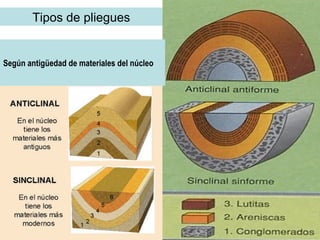 Tipos de pliegues Según antigüedad de materiales del núcleo 