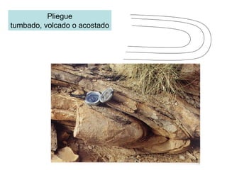 Pliegue tumbado, volcado o acostado 