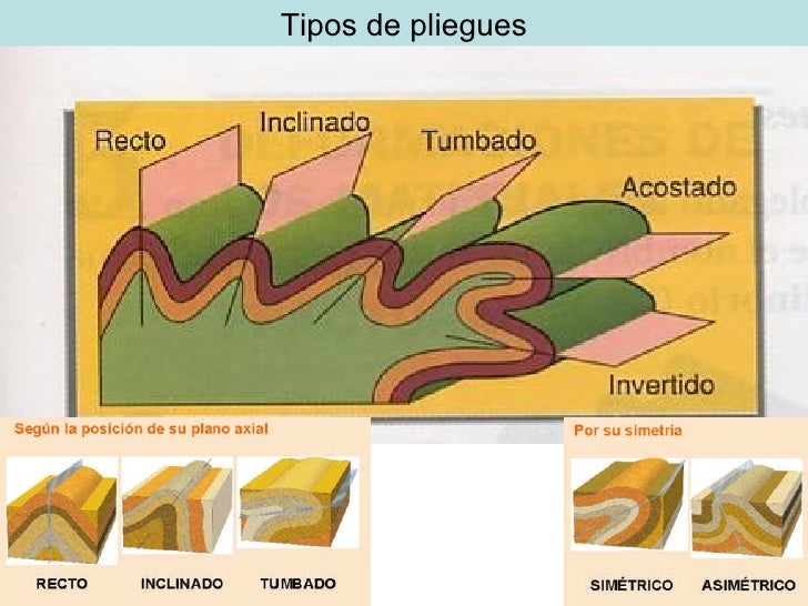 Resultado de imagen de tipos de pliegues