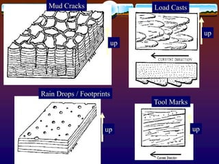 up
up
Mud Cracks
Rain Drops / Footprints
Load Casts
Tool Marks
up
up
 