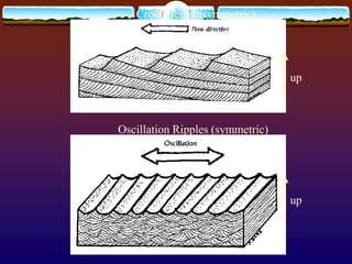 Cross-Beds (asymmetric)
Oscillation Ripples (symmetric)
up
up
 