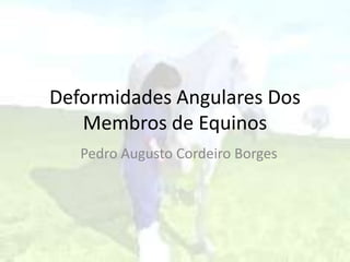 Deformidades Angulares Dos
   Membros de Equinos
   Pedro Augusto Cordeiro Borges
 