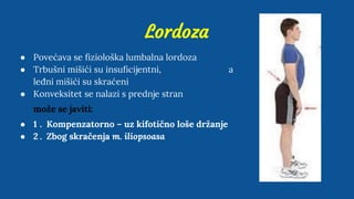 Lordoza
● Povećava se fiziološka lumbalna lordoza
● Trbušni mišići su insuficijentni, a
leđni mišići su skraćeni
● Konveksitet se nalazi s prednje stran
može se javiti:
● 1 . Kompenzatorno – uz kifotično loše držanje
● 2 . Zbog skračenja m. iliopsoasa
 