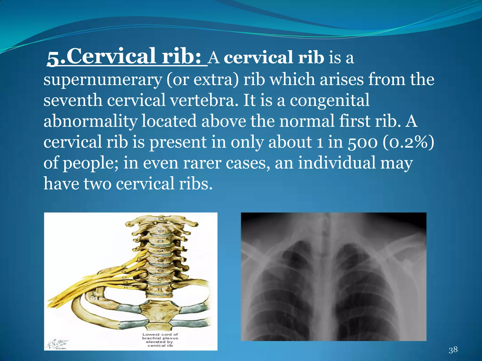 Deformities Of Human Body | PPTX