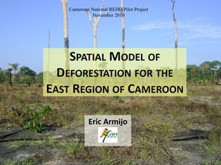 SPATIAL MODEL OF
DEFORESTATION FOR THE
EAST REGION OF CAMEROON
Eric Armijo
Cameroon National REDD Pilot Project
November 2010
 