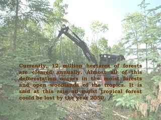 Currently, 12 million hectares of forests are cleared annually. Almost all of this deforestation occurs in the moist forests and open woodlands of the tropics. It is said at this rate all moist tropical forest could be lost by the year 2050 . 