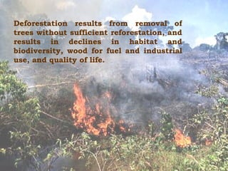 Deforestation results from removal of trees without sufficient reforestation, and results in declines in habitat and biodiversity, wood for fuel and industrial use, and quality of life.   