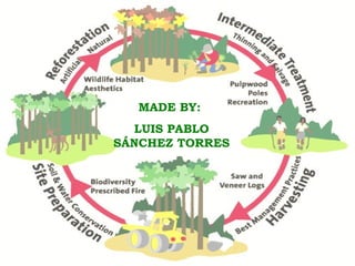 MADE BY:  LUIS PABLO SÁNCHEZ TORRES 