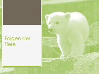 Folgen der
Tiere
 