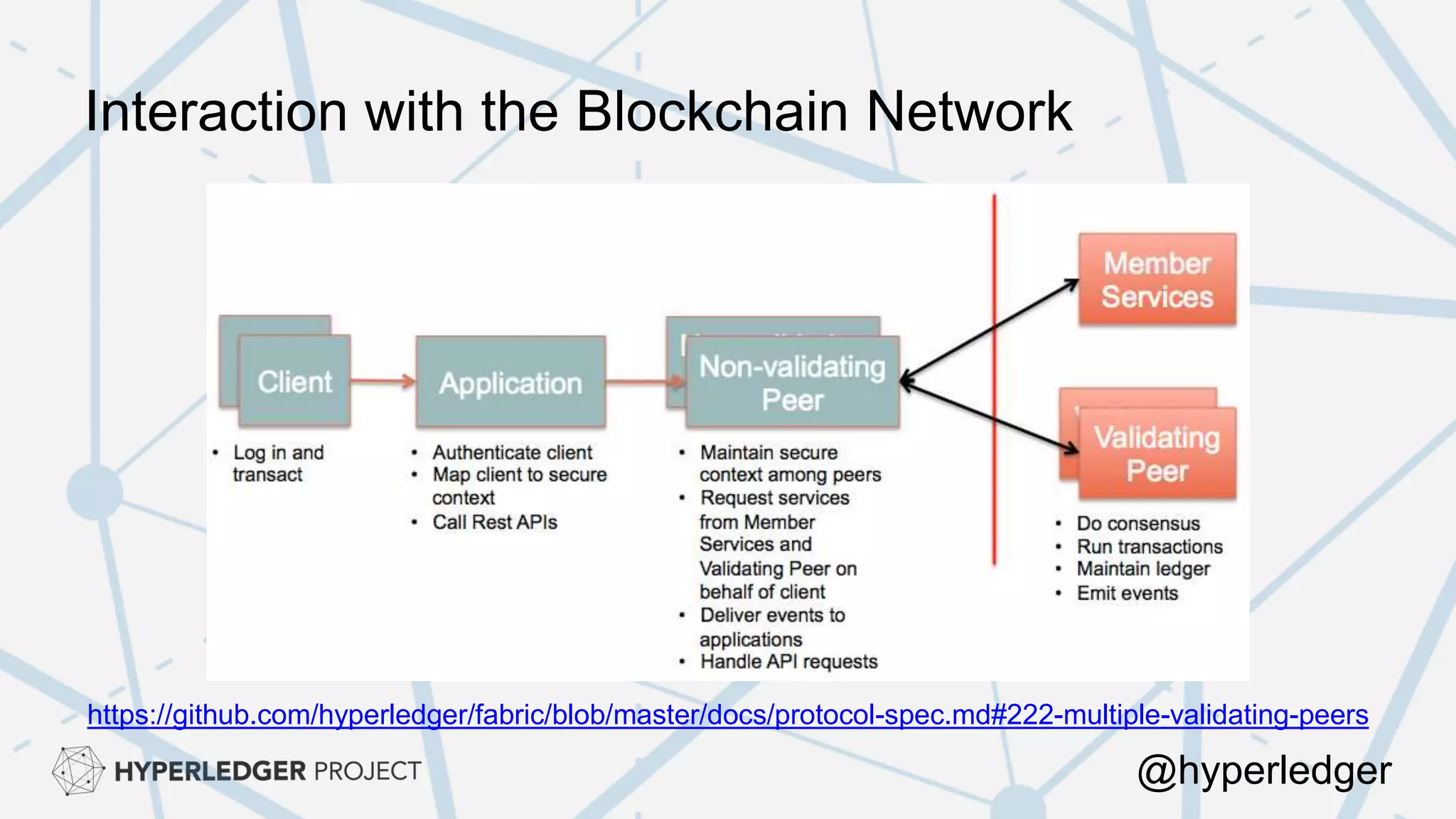Interaction with the Blockchain Network
https://github.com/hyperledger/fabric/blob/master/docs/protocol-spec.md#222-multiple-validating-peers
@hyperledger
 