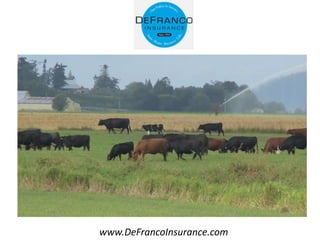 www.DeFrancoInsurance.com
 