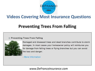 www.DeFrancoInsurance.com
Videos Covering Most Insurance Questions
Preventing Trees From Falling
 