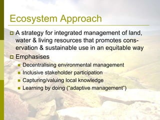 Ecosystem Approach<br />A strategy for integrated management of land, water & living resources that promotes cons-ervation...